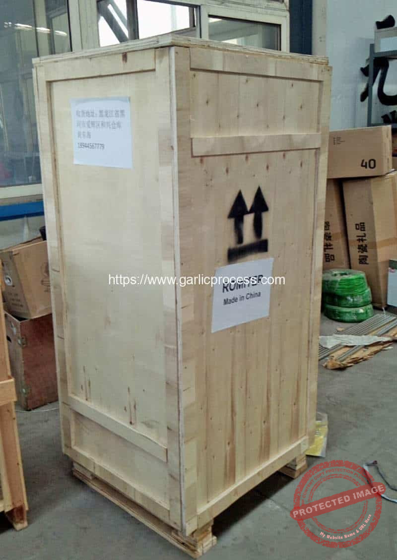 Russia-Garlic-Peeling-Machine-Package